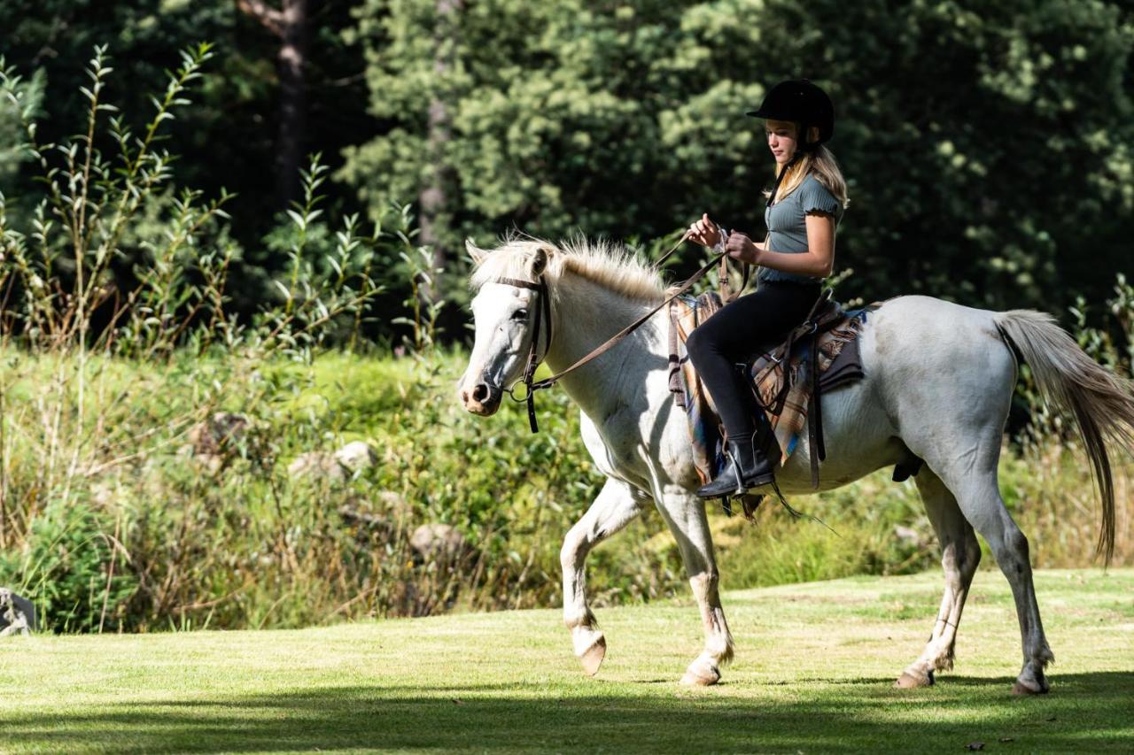 Gooderson Leisure Riverbend Chalets Self Catering And Timeshare Gold Crown Resort Drakensberg Garden Zewnętrze zdjęcie